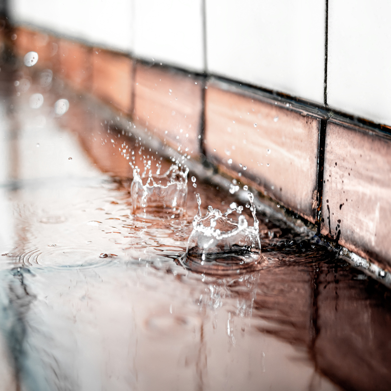 Flood insurance coverage with Mallard Insurance Group