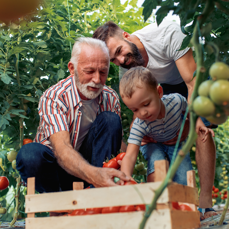 Life insurance coverage with Mallard Insurance Group