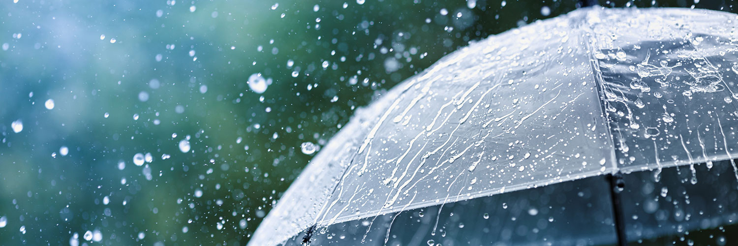 Georgia Umbrella Insurance Coverage